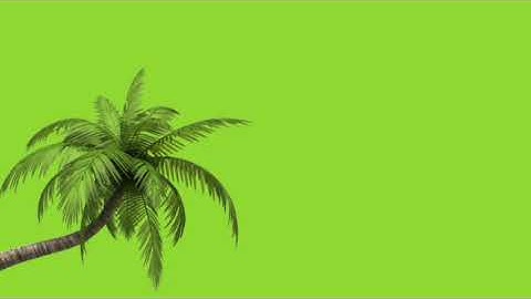 #green_status #tree_green_screen   green effect | tree green screen video