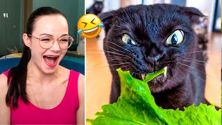 Funny Cats And Dogs Videos That Make You Laugh All Day Long 😂 by Animals Like People 1,330 views 1 year ago 5 minutes, 43 seconds