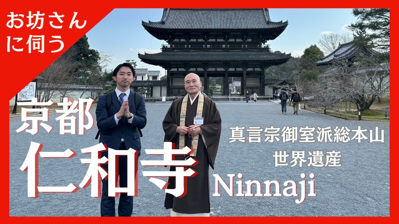 【 公式案内 】 仁和寺の見どころまるごと紹介！✨ - 真言宗御室派総本山 #仁和寺 #京都観光 #神社仏閣