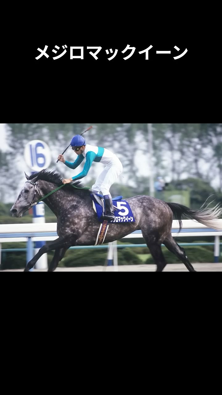 トウカイテイオー メジロマックイーン 92’ 天皇賞(春) 現地的中単勝馬券 天皇賞・春】冷静に最強ライバル撃破 武豊92年メジロマックイーンで