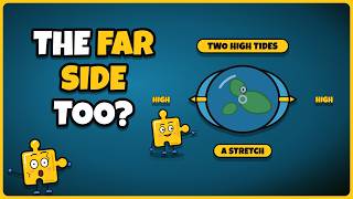 Information Why Are There Two High Tides a Day News