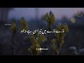 Beautiful naat status 2023  new nazam status 2023  whatsapp status  islamic naat status