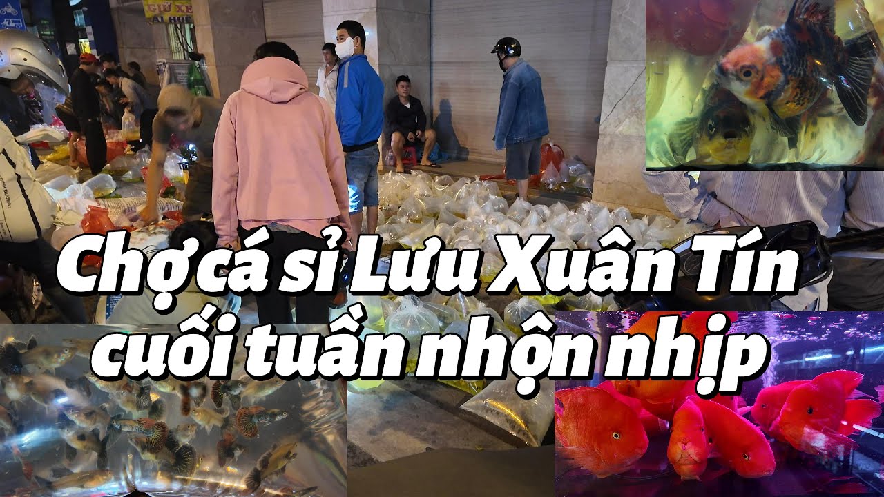 Không Khí Chợ Cá Sỉ Lưu Xuân Tín Cuối Tuần | Sài Gòn Xưa-Old Sai Gon