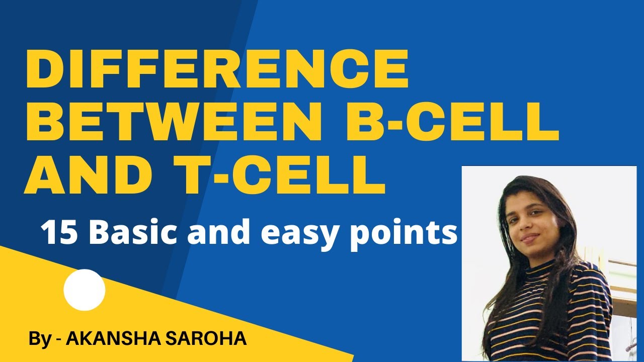 Difference between B cells and T cells - YouTube