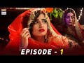 Meraas Episode 1 | Saboor Ali | Fahad Shaikh | Mohsin Abbas | Sawera Nadeem | ARY Digital