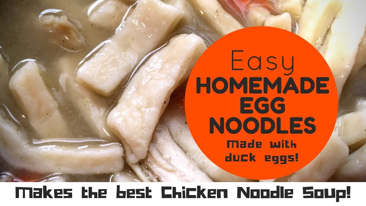 How To Make Homemade Duck Egg Noodles For The Best Chicken Noodle