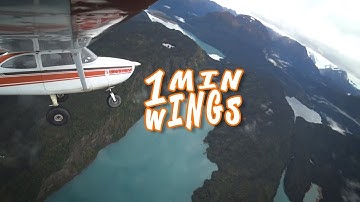 Flying is Art -- Airmanship vs FAA Maneuvers -- 1 Minute Wings