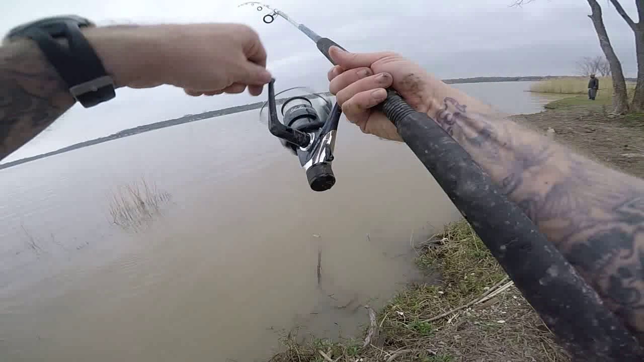 27.7 lb buffalo(ictiobus)on berkley big game rod and kastking reel on this  Sunday's trip 