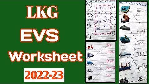 LKG class EVS worksheet / EVS worksheet for lkg class