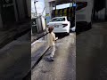 ALİ NECATİ ANNEYİ KORKUTACAKTI KENDİ KORKTU 😂😂😂#alinecati#shorts#keşfet#youtubeshorts#keşfetbeni