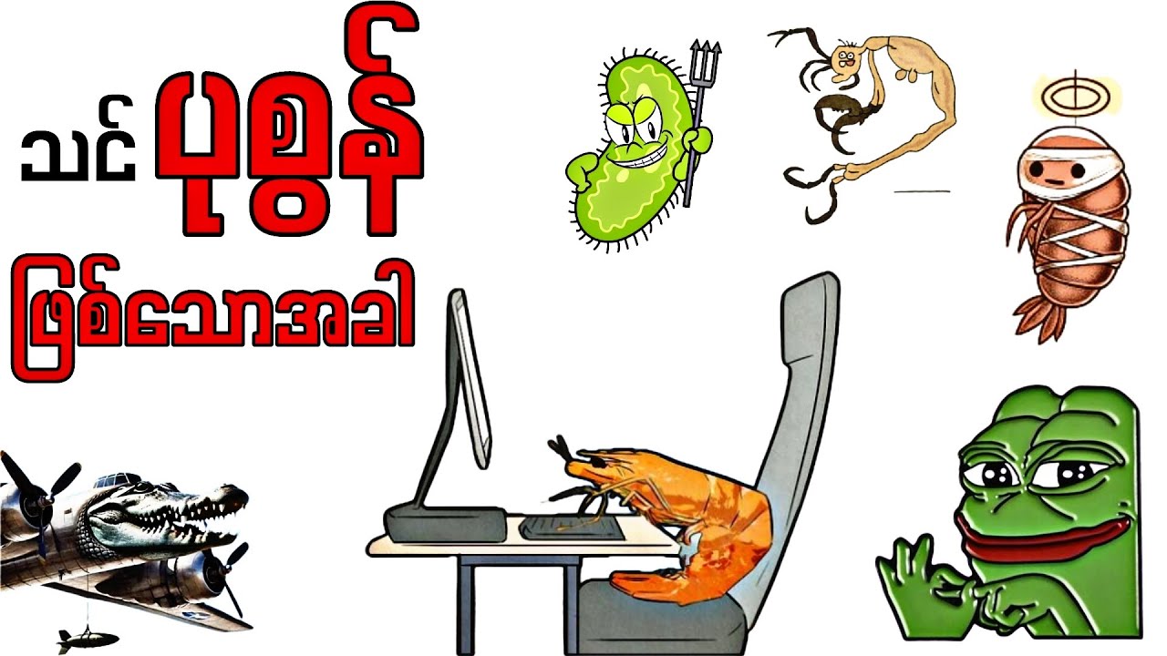 သင်ပုစွန်ဖြစ်သောအခါ - Life as a shrimp