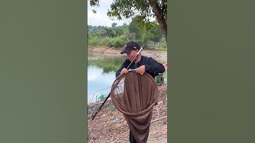 Câu cá đập bán tự nhiên không dễ xơi #shorts #chungnguyenfishing