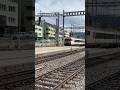 Sbb Zug ➡️ Zürich Hauptbahnhof in Spiez #trainspotting #train #viral #railway #trending #sbb