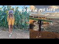 AUTUMN VLOG in California | surfing, pumpkin patch, swim photoshoot