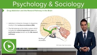 Psychology and Sociology – Course Preview | Lecturio Resimi
