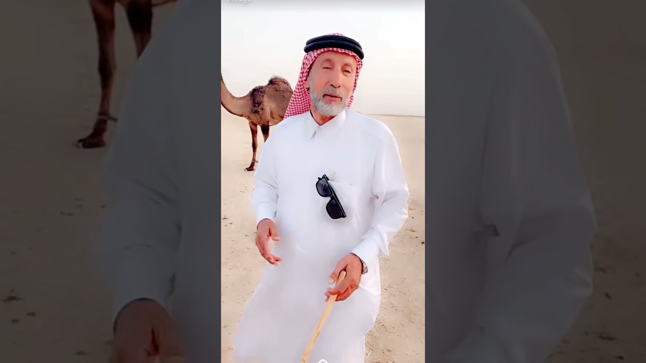 منقية الجد مجاهيم وهجن