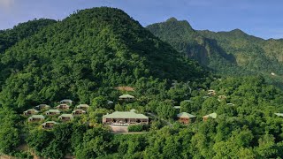 Welcome To Jungle Bay Dominica
