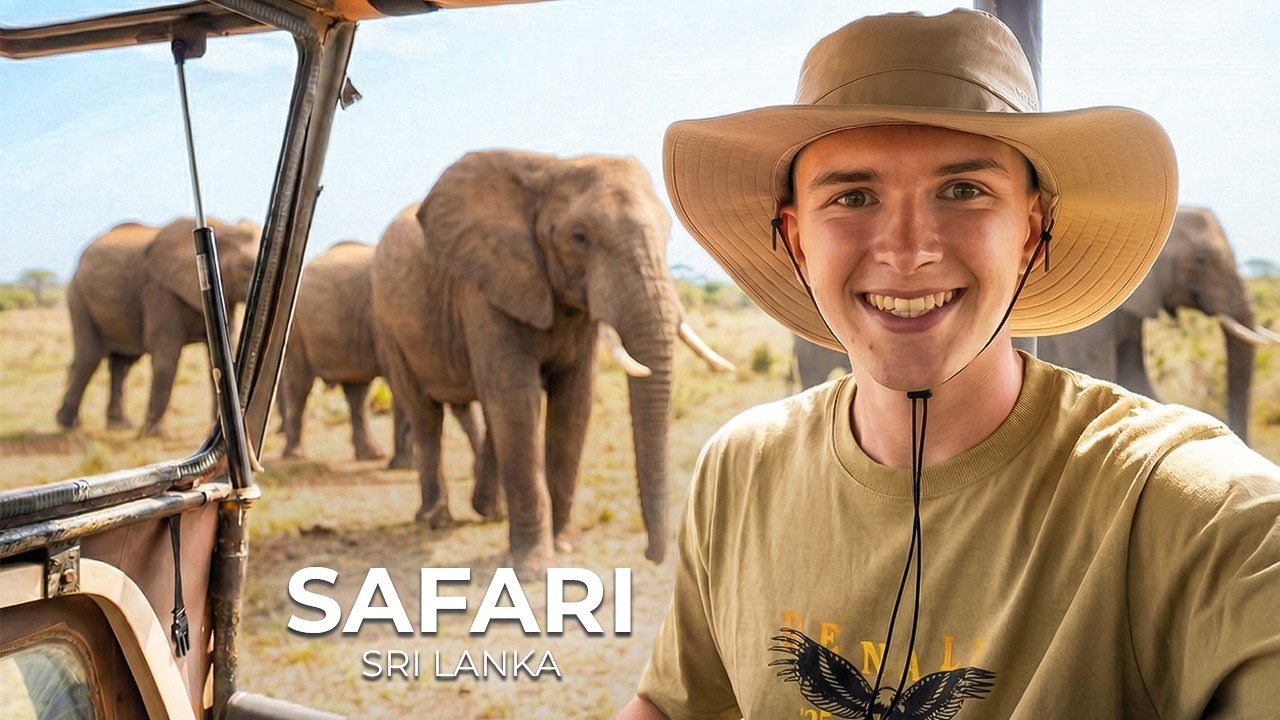 WIDZIELIŚMY SŁONIE!