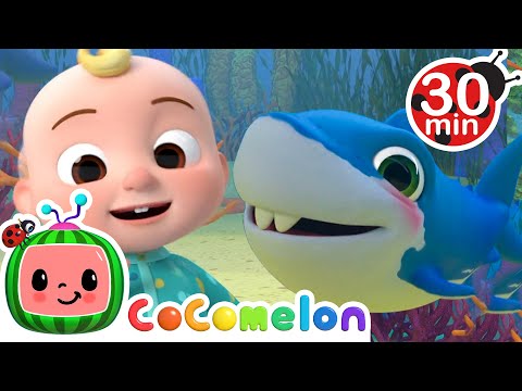 Baby Shark - @CoComelon | Kids Cartoons & Nursery Rhymes | Moonbug Kids