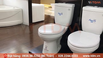 TDM.VN | Review bồn cầu CAESAR CT1325 thân C1325 két T1125 bàn cầu 1 nút nhấn nắp thường chính hãng