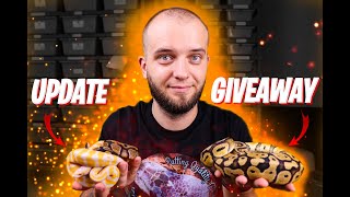 SNAKE GIVEAWAY AND CLUTCH UPDATE!