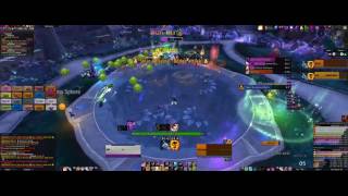 Invalid Target vs Mythic High Botanist Tel'arn - Balance Druid & Shadow Priest PoV