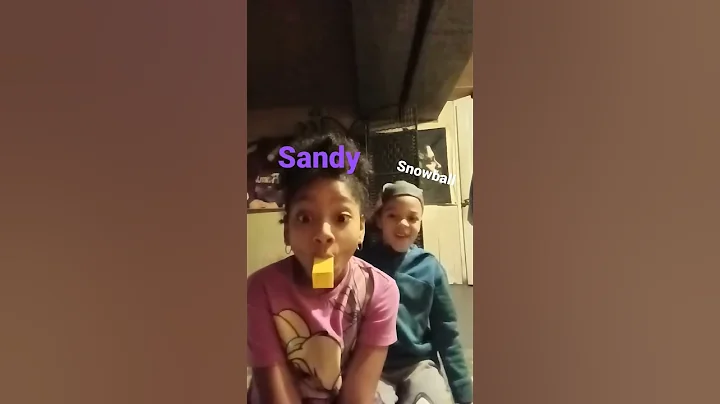baby Sandy with snowball (sta studios)