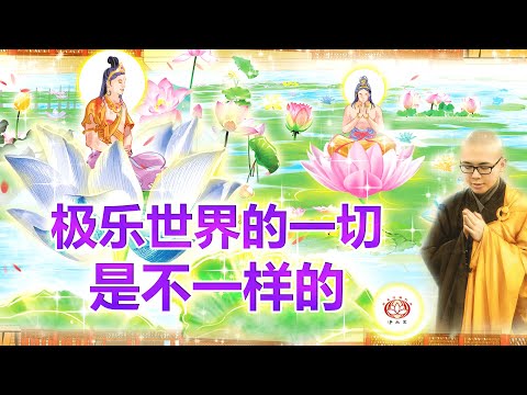 极乐世界的一切是不一样的 👼 | 净本法师 主讲