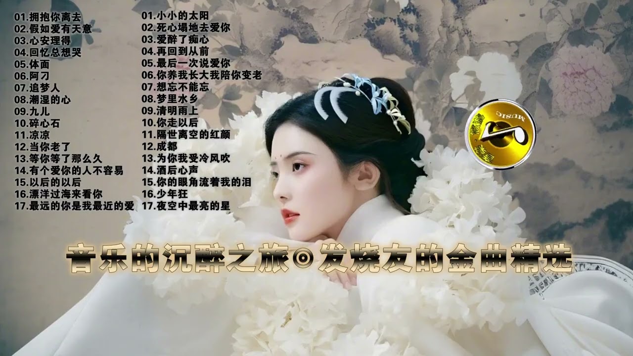 音乐的沉醉之旅：发烧友的金曲精选