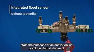 LF009 Backflow Preventer