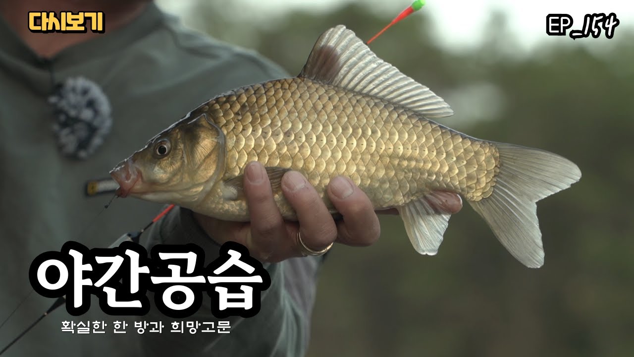 [다시보기] 야간공습 154회 확실한 한방과 희망고문