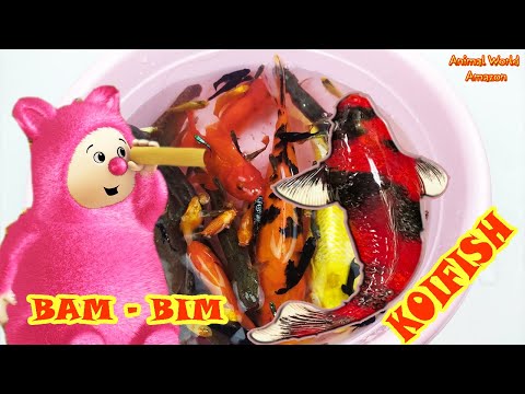 Dinosaurs Goldfish Ping Pong Betta Gram Koi Fish Bim and Bam In The Animal World Baby TV Bean TV