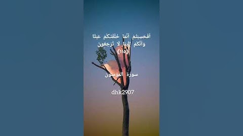 أفحسبتم أنما خلقناكم عبثا" وأنكم إلينا لاترجعون# تلاوة #قرآن #مقاطع قصيرة