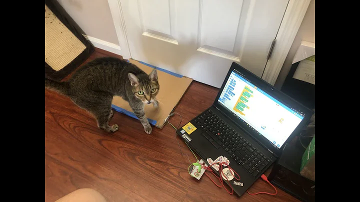 Cat Sensor with Makey Makey & Scratch