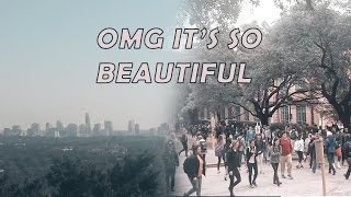 UT Austin Campus tour and City tour 2017