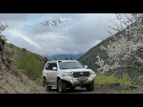 Видео: Чечня и Дагестан! Красота о которой мы не знали!