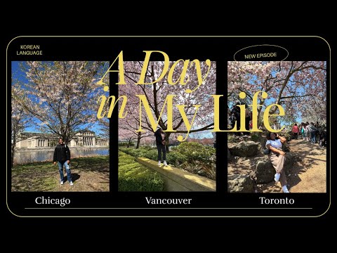 Goodbye Winter, Hello Spring | 겨울 안녕 봄 안녕