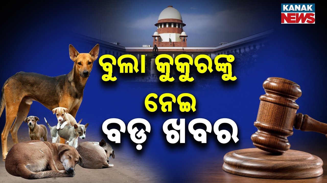 Supreme Court Issues New Order On Stray Dogs: No Relocation, Only Sterilization & Vaccination
