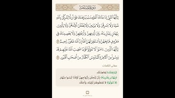سورة الممتحنة 8 تلاوة الشيخ سعد الغامدي