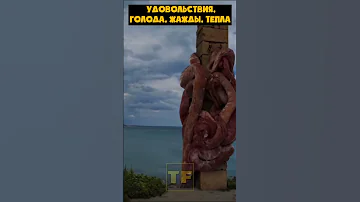 Осьминоги очень умны