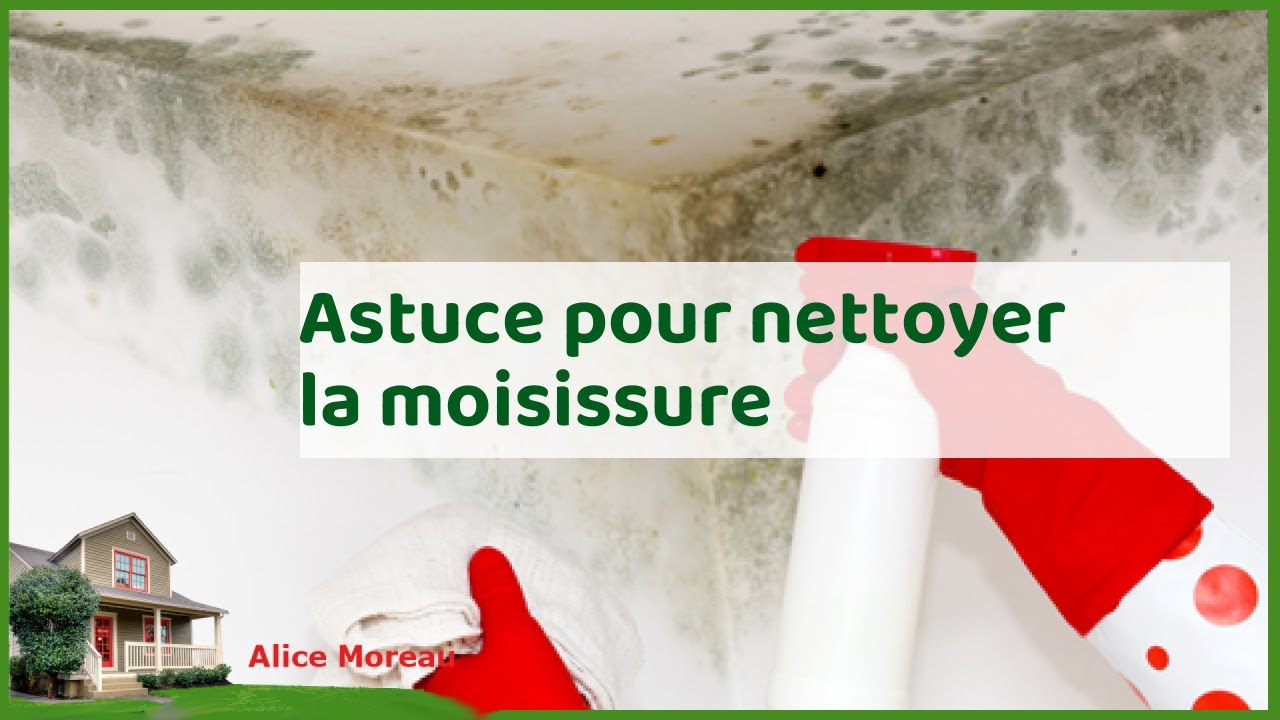 Nettoyer la moisissure : options et prix [+ pourquoi faire appel à un pro?]