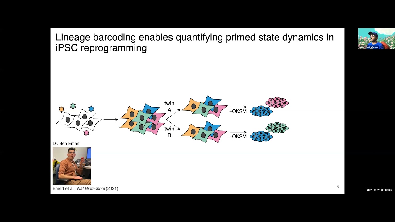 Why do only rare somatic cells reprogram into induced pluripotent stem cells?