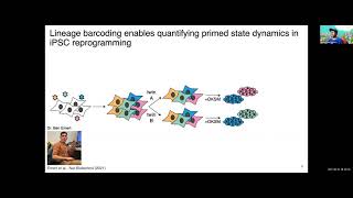 Why do only rare somatic cells reprogram into induced pluripotent stem cells?