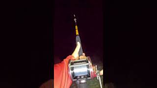 Shark fishing the Beach with Penn Senators! #florida  #fishing #shark