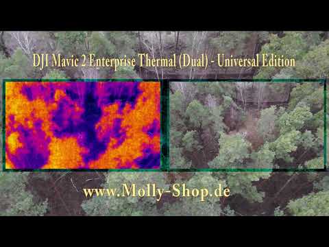 sharky chile DJI Mavic 2 Enterprise Thermal Dual Universal Edition 1. Testflug
