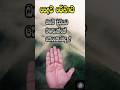 #numerology,#palmistry,#palm,#දෛවරේඛාව