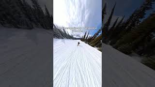 Average Skier Sunday