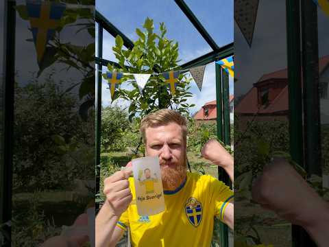 Tröjan på. Glaset i hand. Nu tar vi dom. 🇸🇪⚽️🔥 #vm #sverige #football #believe