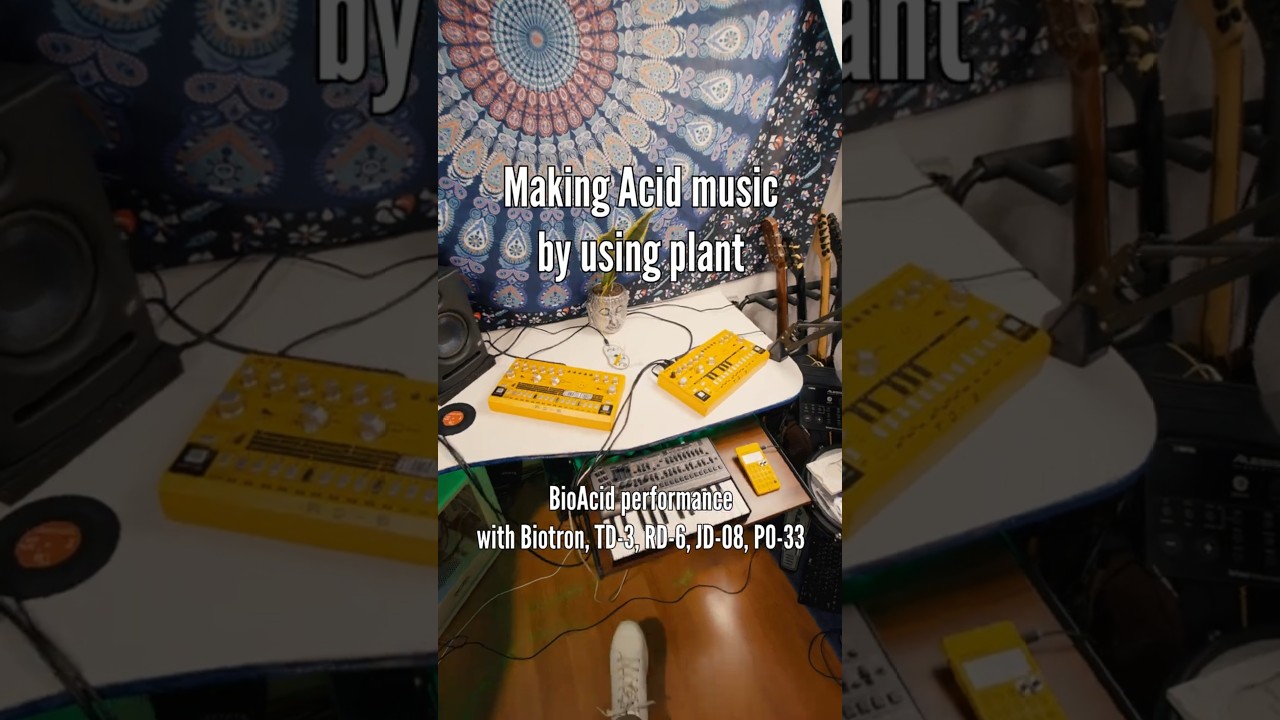 Making BioAcid music with a Plant 🌱🔊🙂