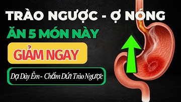 Trào Ngược, Ợ Nóng, Đầy Hơi – 5 Thực Phẩm Giúp Trung Hòa Axit Dạ Dày Cực Hiệu Quả Mỗi Ngày